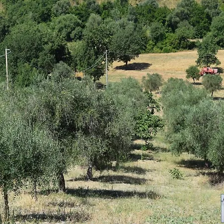 Affittacamere Nonno Gennaro * Matonti